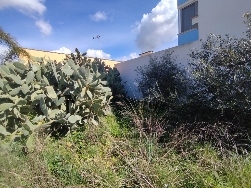 Giano Group Immobiliare